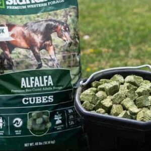 alfalfa for horse