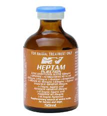 Heptam 5gm Injection