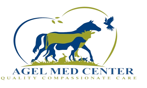 Agel med Center Logo