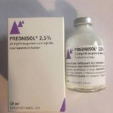 prednisol 2.5 %