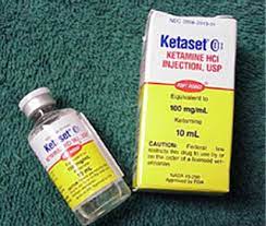 ketaset injection