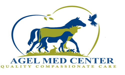 Agel med Center Logo