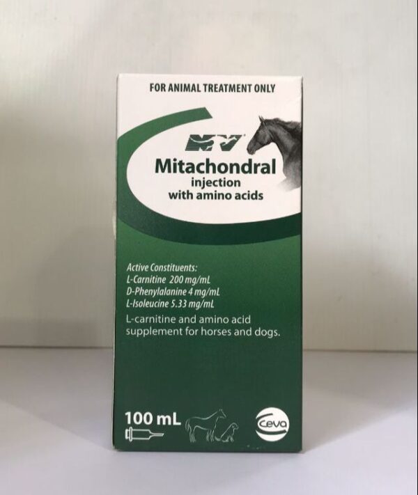 Mitachondral injection