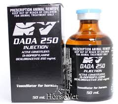 dada 250 injection