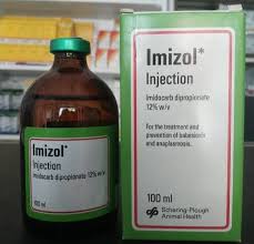 imizol injection